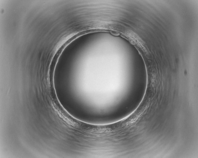 X0000060800884200511101416