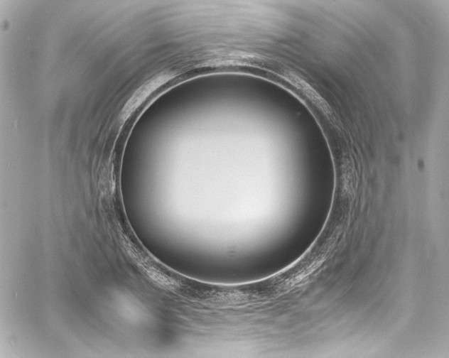 X0000060800885200511101416