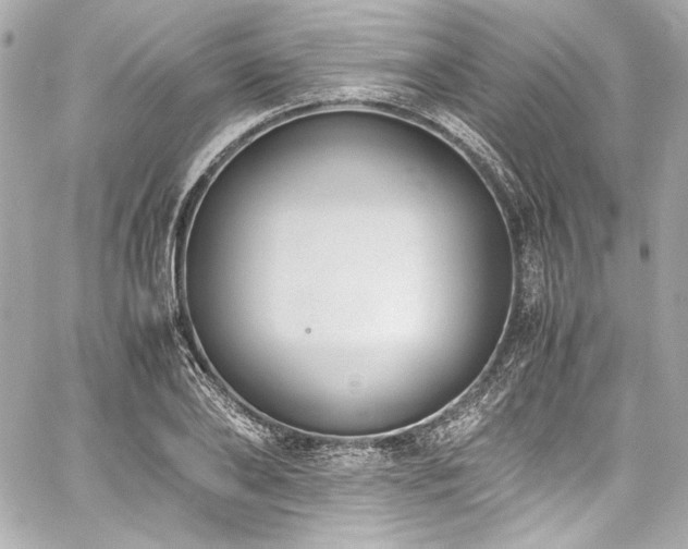 X0000060800886200511101416