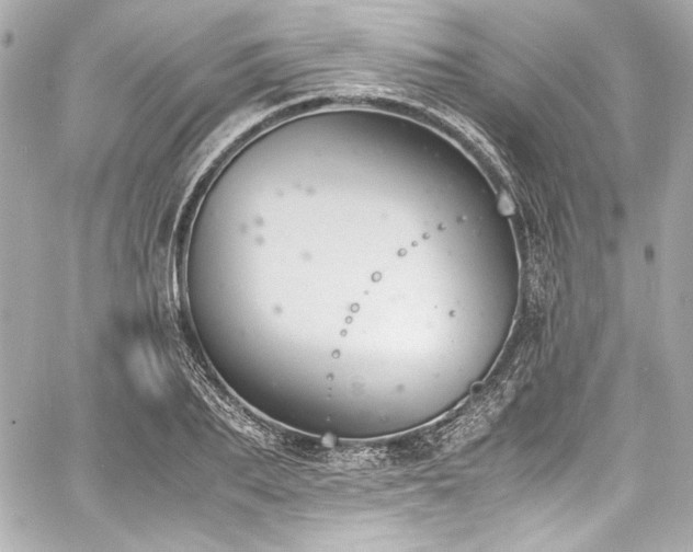 X0000060800887200511101416