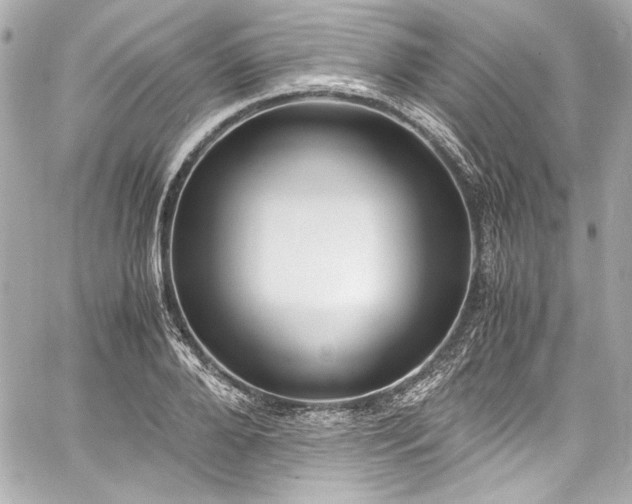 X0000060800888200511101416