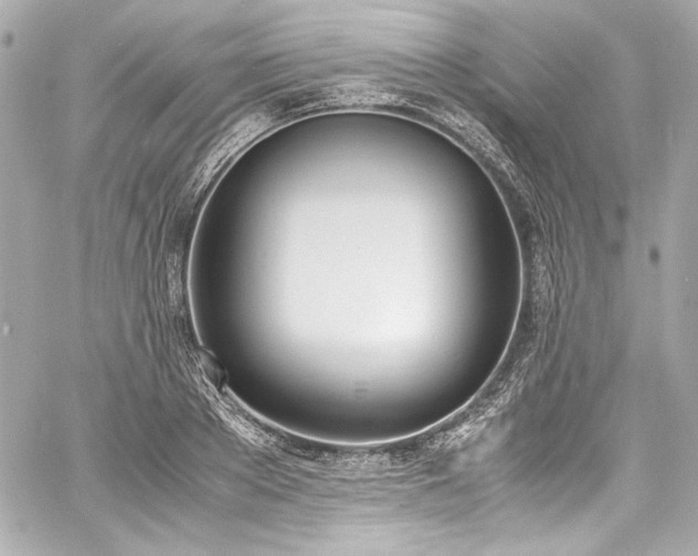 X0000060800889200511101416