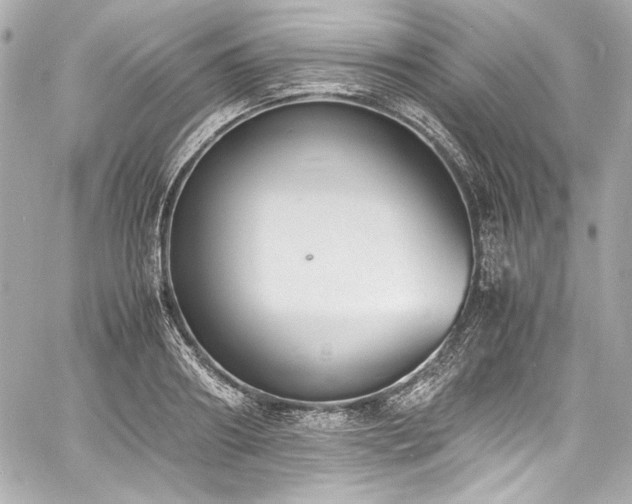 X0000060800890200511101416