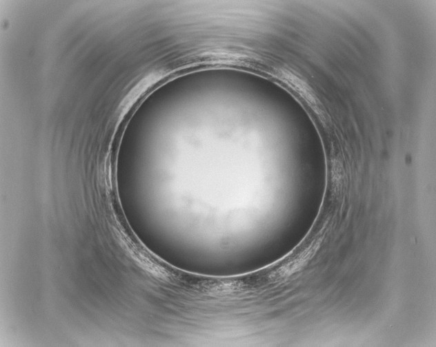 X0000060800891200511101416