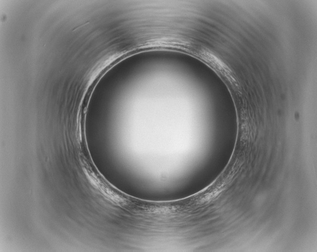 X0000060800892200511101416