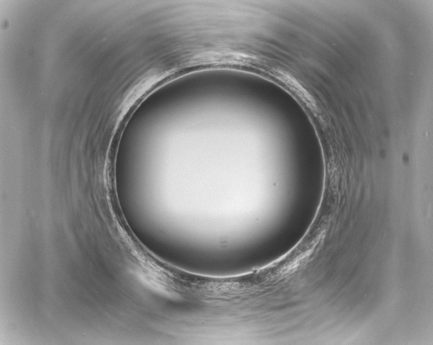 X0000060800893200511101416