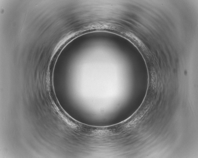 X0000060800894200511101416