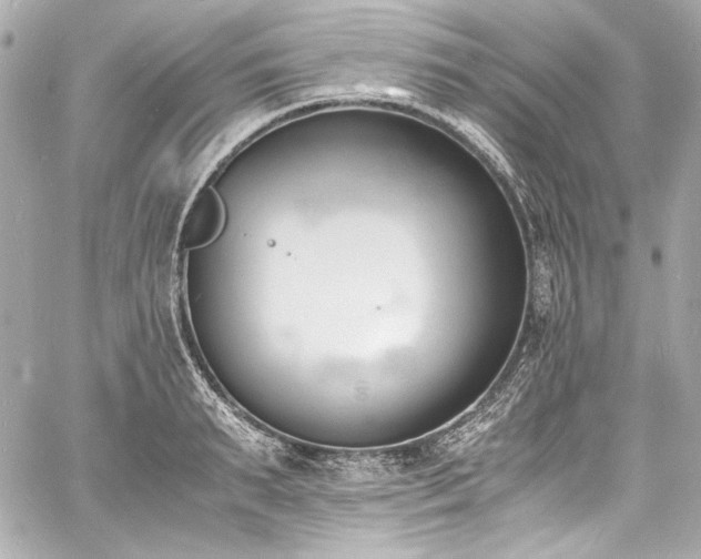 X0000060800895200511101416