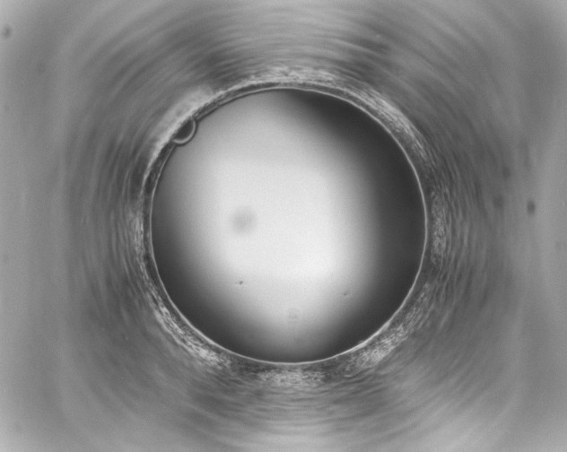 X0000060800896200511101416