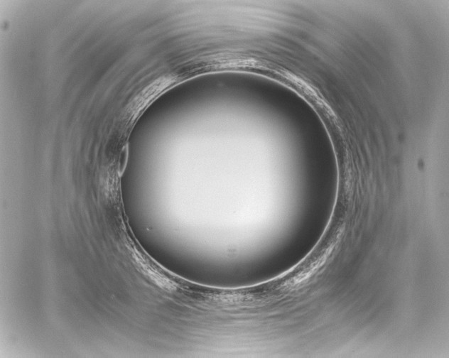 X0000060800897200511101416