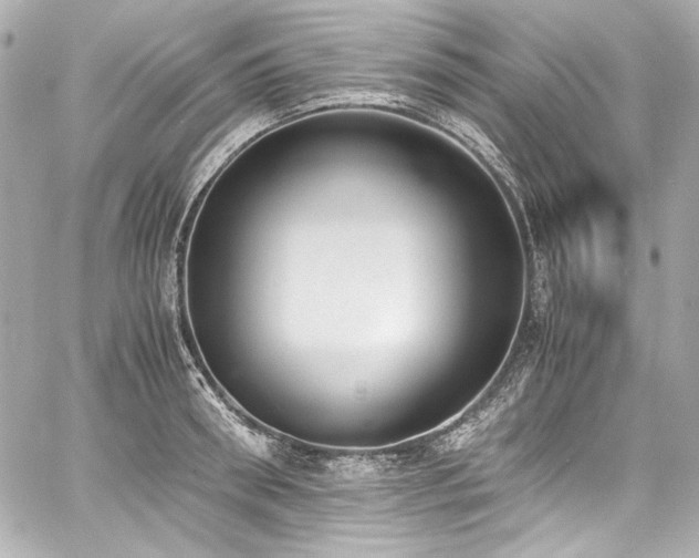 X0000060800898200511101416