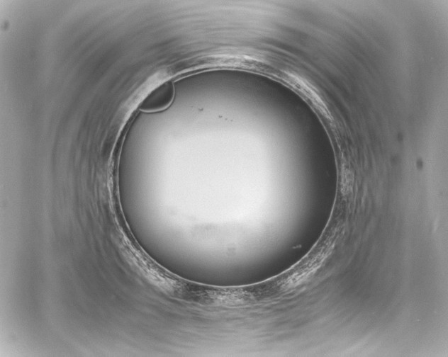 X0000060800899200511101416