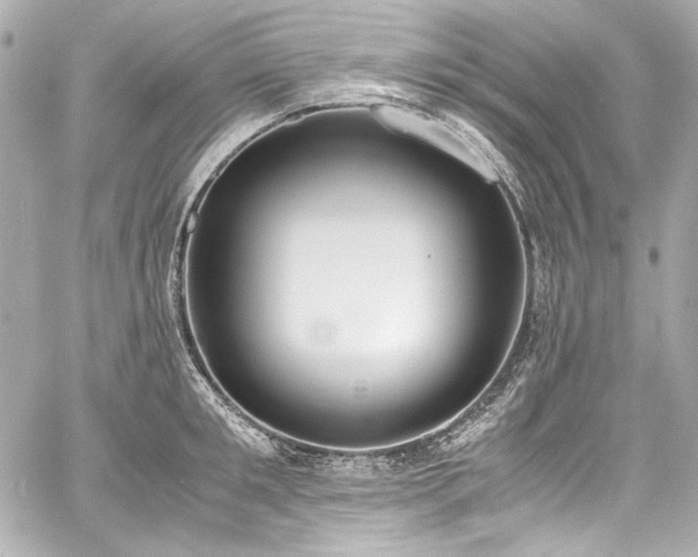 X0000060800901200511101416