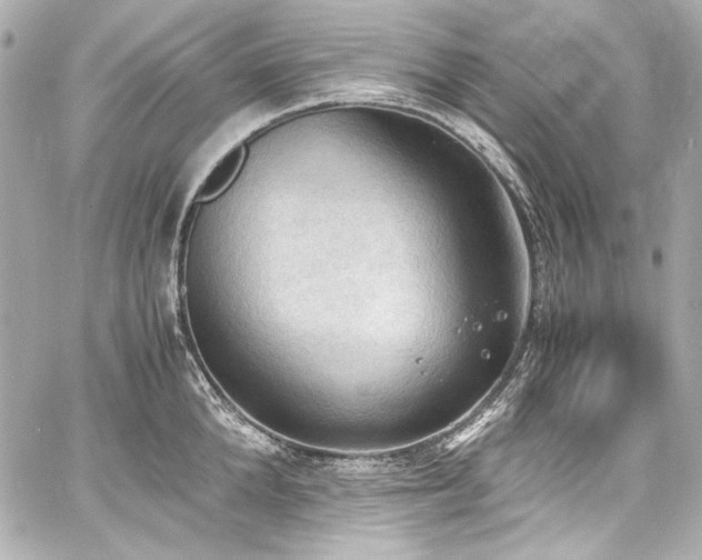 X0000060800904200511101416