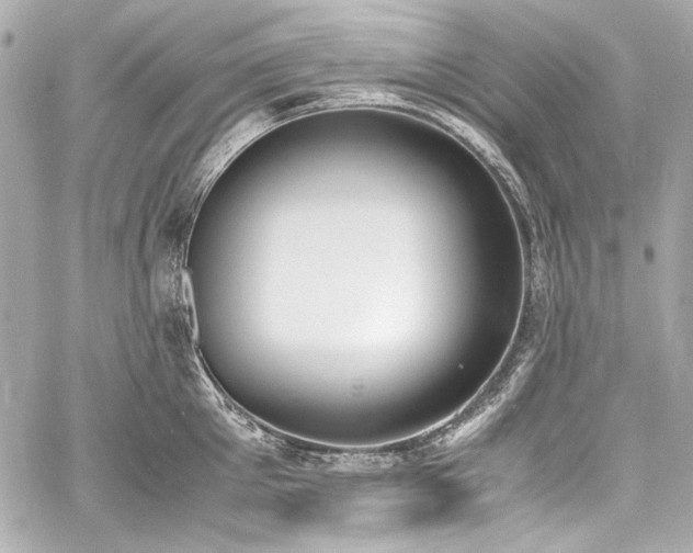 X0000060800905200511101416