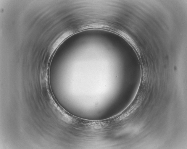 X0000060800906200511101416