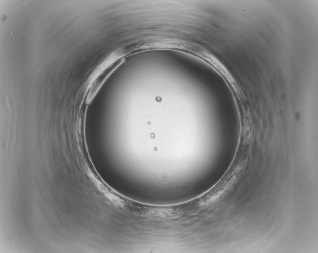 X0000060800909200511101416