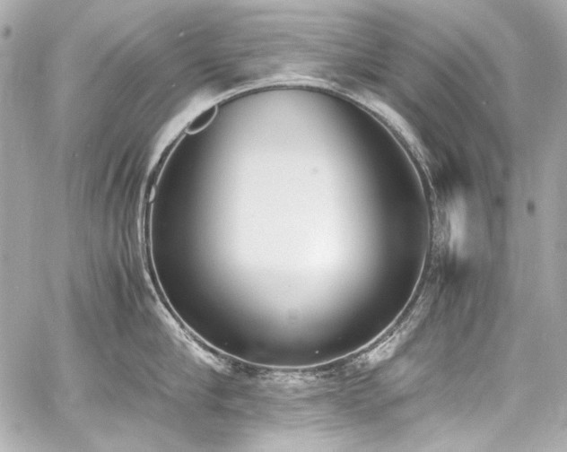 X0000060800910200511101416