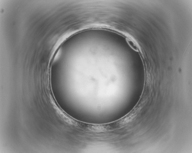 X0000060800911200511101416