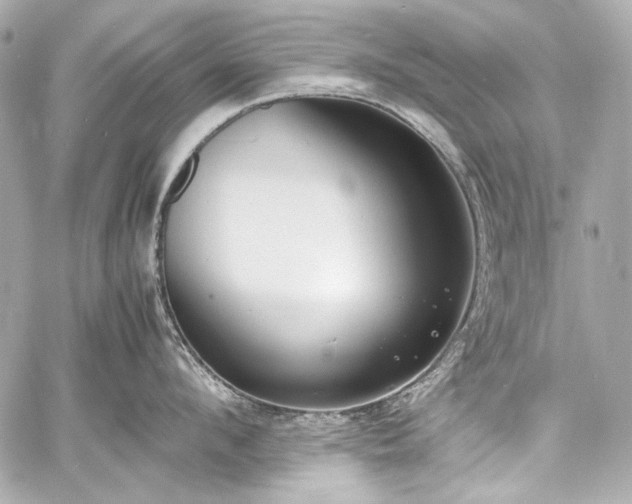 X0000060800912200511101416