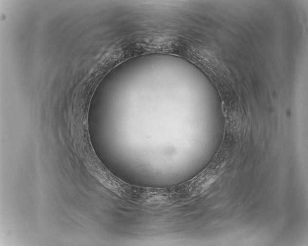 X0000060800913200511101415