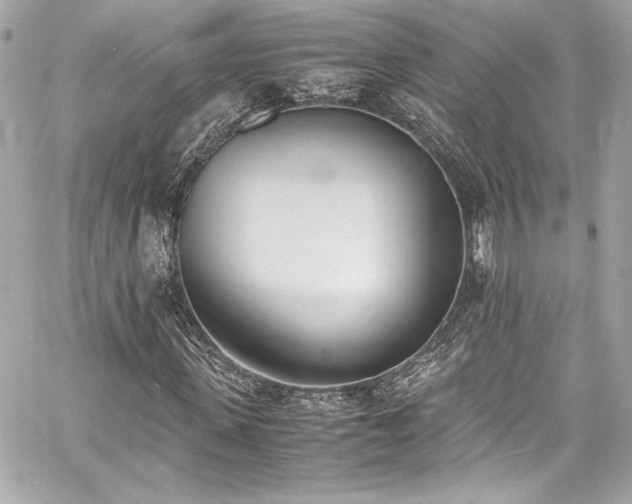 X0000060800915200511101415