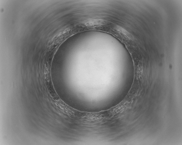 X0000060800917200511101415