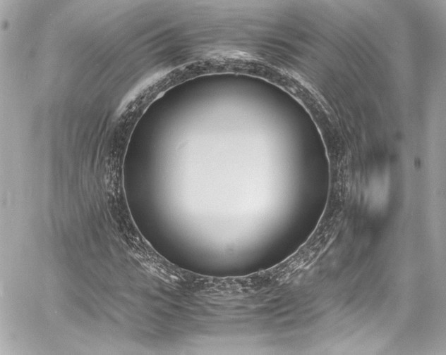 X0000060800919200511101415