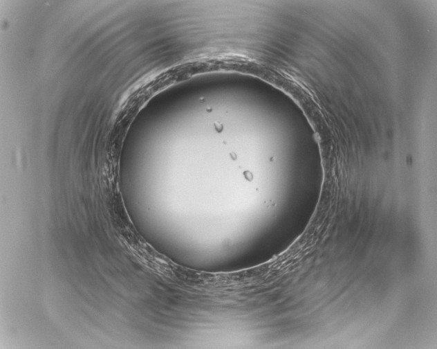 X0000060800920200511101415