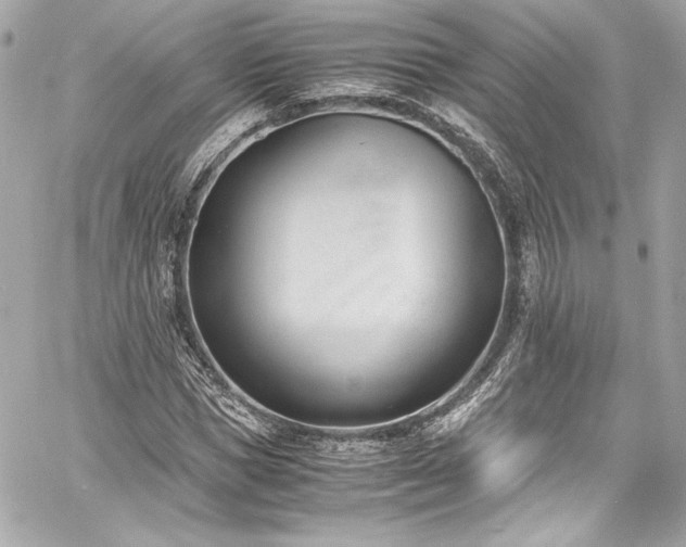 X0000060800921200511101415