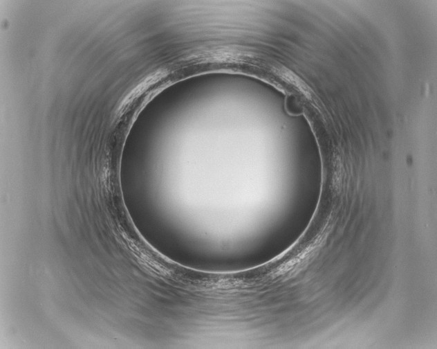 X0000060800922200511101415