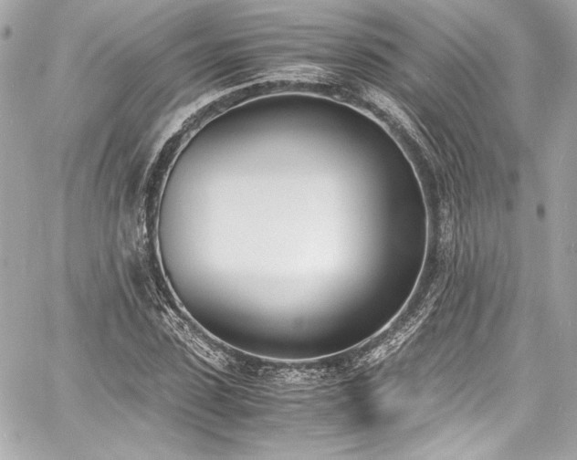 X0000060800923200511101415