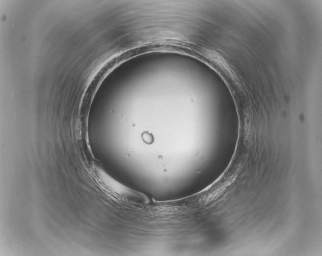 X0000060800924200511101415