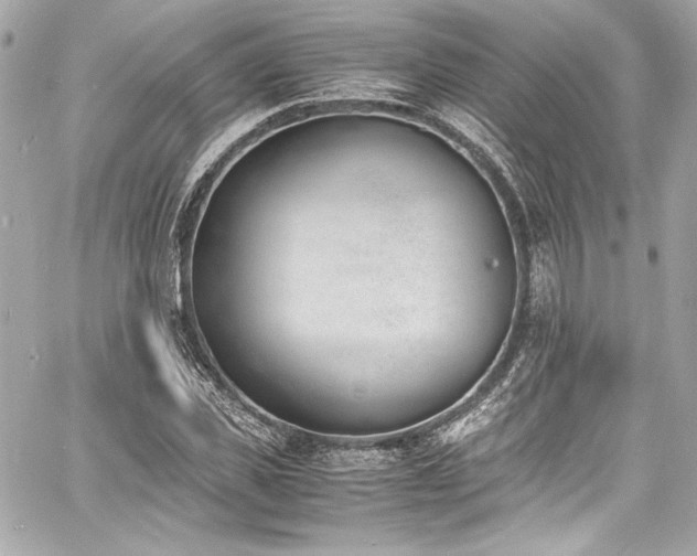 X0000060800925200511101415