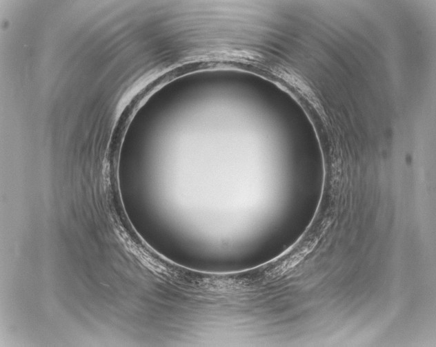 X0000060800928200511101415