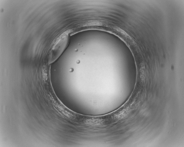 X0000060800929200511101415