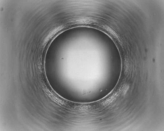 X0000060800930200511101415