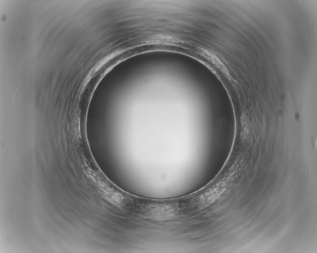 X0000060800931200511101415