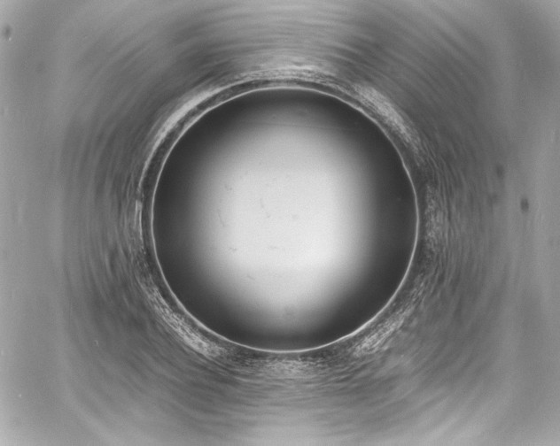 X0000060800932200511101415