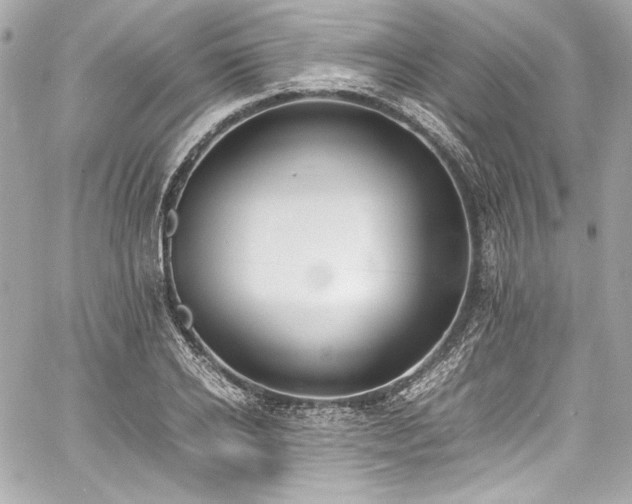 X0000060800934200511101415