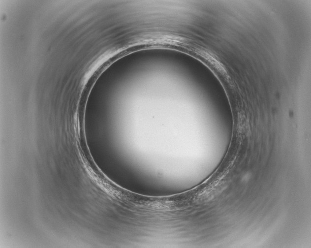 X0000060800936200511101415