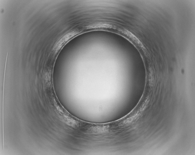 X0000060800937200511101415