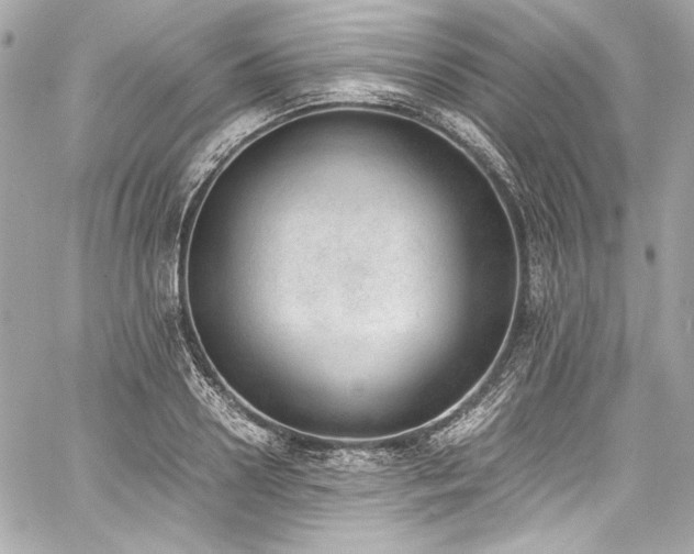 X0000060800938200511101415