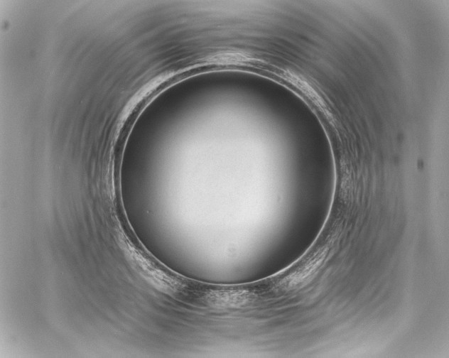 X0000060800939200511101415