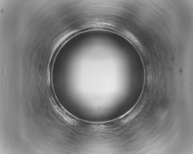 X0000060800940200511101415