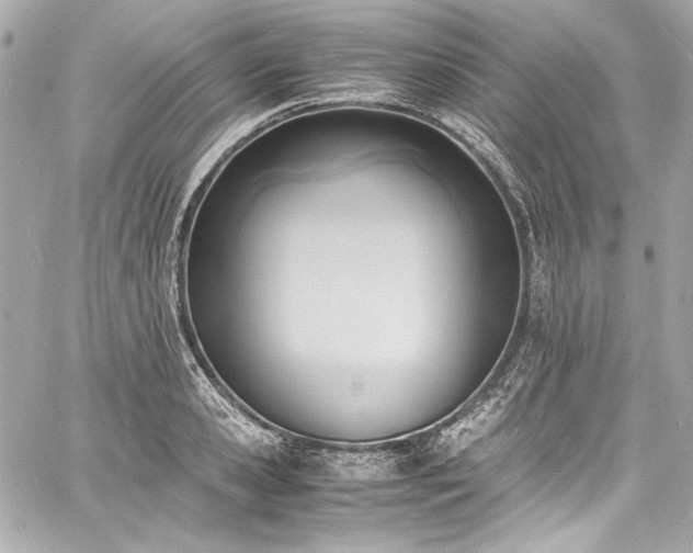 X0000060800941200511101415