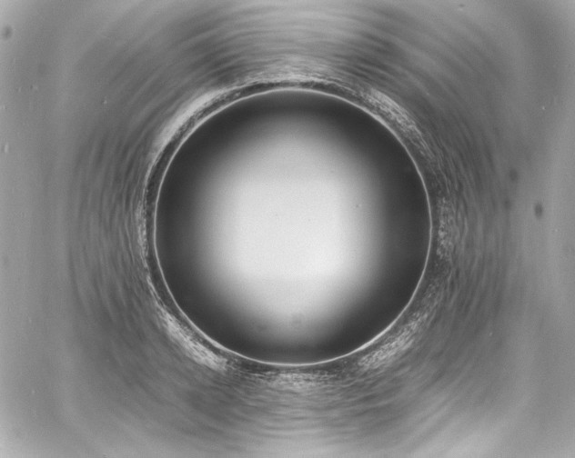 X0000060800942200511101415