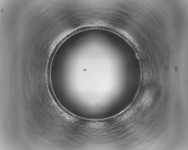 X0000060800943200511101415