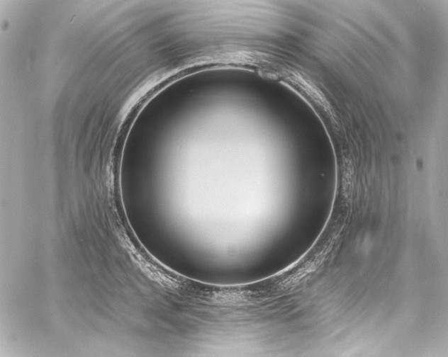 X0000060800944200511101415