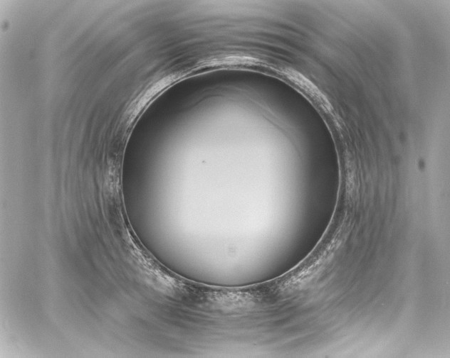 X0000060800945200511101415